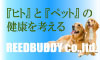 リードバディ１００＿６０