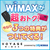 VOYAGE WiMAX