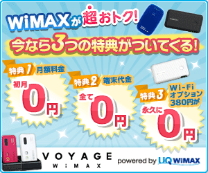 VOYAGE WiMAX