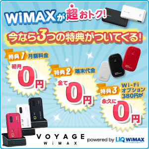 VOYAGE WiMAX