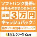 ƂP[^C.net