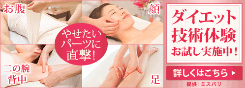 �~�X�p���E�_�C�G�b�g�Z���^�[